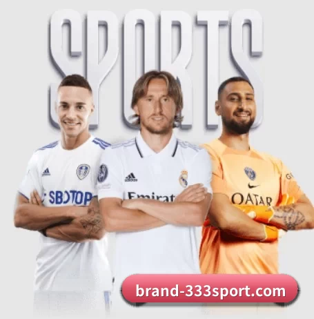brand-333sport.com APP 界面